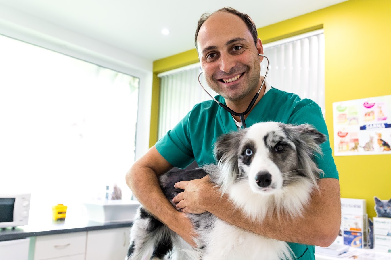 A man in a veterinary office with a dog